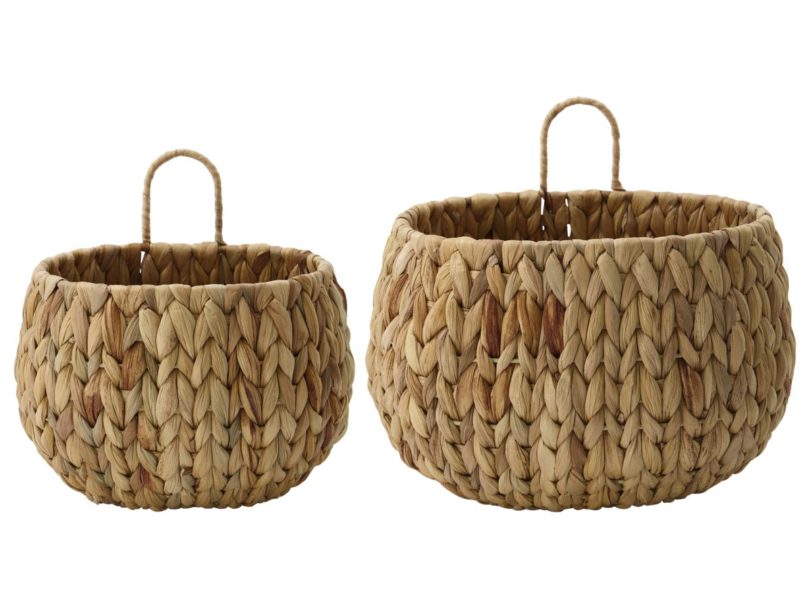 SADA DVOU KOŠŮ WATER HYACINTH